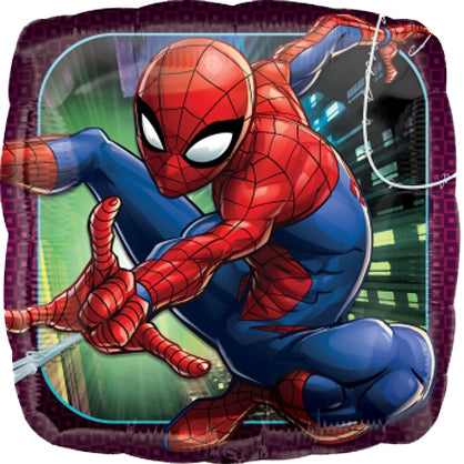18SQ SPIDER-MAN ANIMATED
